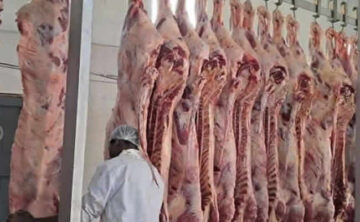 Halal Slaughter Services