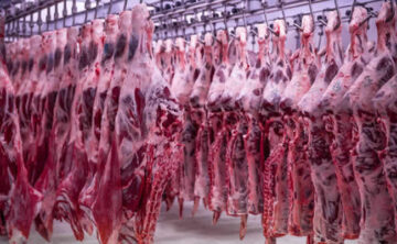 Meat Products Supply
